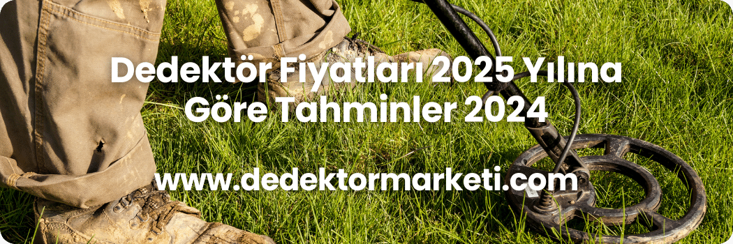 Dedektör Fiyatları 2025 Yılına Göre Tahminler 2024 3 Dedektör Fiyatları 2025 Yılına Göre Tahminler 2024 (2)