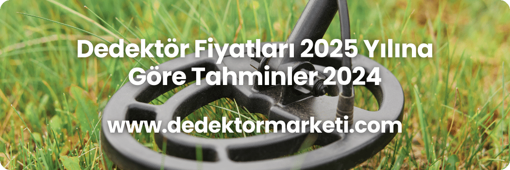 Dedektör Fiyatları 2025 Yılına Göre Tahminler 2024 1 Dedektör Fiyatları 2025 Yılına Göre Tahminler 2024
